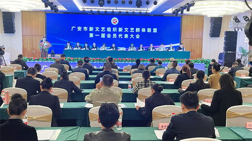 广安市新文艺组织新文艺群体联盟成立