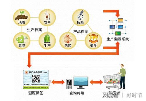 健康新方向 红军山药面，信息管理服务赋能餐饮新体验